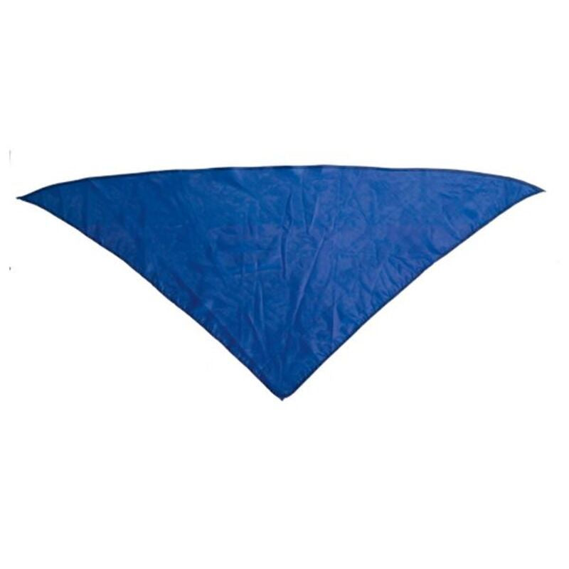 Bandana Triangolare 143029 (100 x 70 cm)